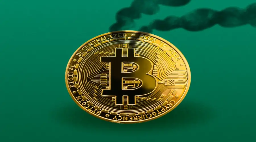 Coin Burning and Environmental Sustainability