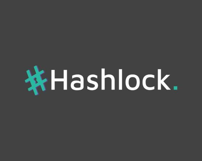 Exploring the Best Smart Contract Auditors: “Hashlock Review – Setting the Gold Standard in Blockchain Security Auditing”